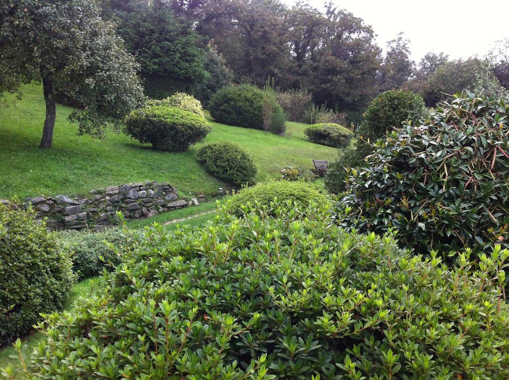 Apartment La Quiete Baveno Oda fotoğraf